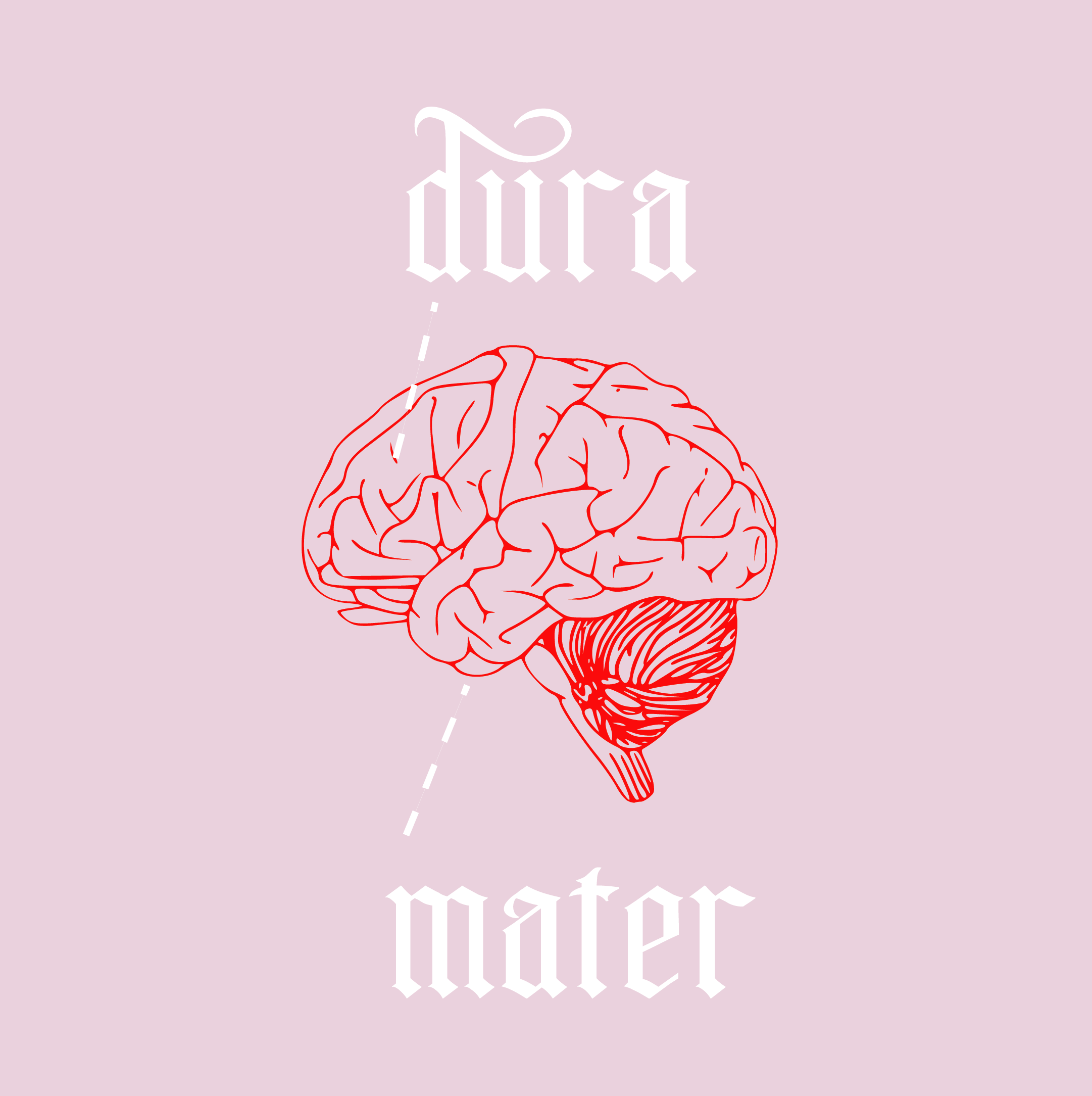 Dura Mater